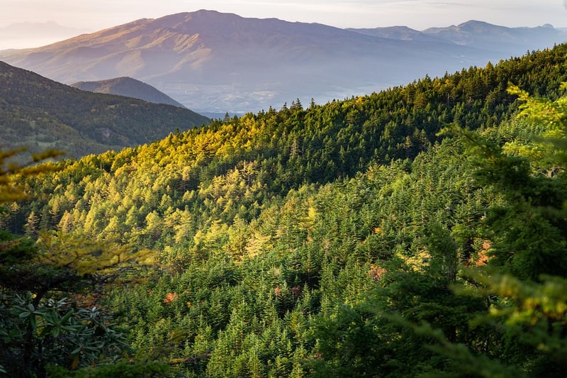 Mountain Landscape